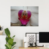 Orchid Face Poster (Heimbüro)