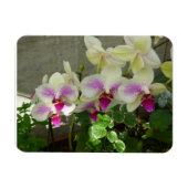Orchid Flexible Foto Magnet (Horizontal)