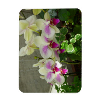 Orchid Flexible Foto Magnet