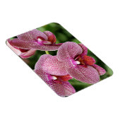 Orchid Flexible Magnet (Rechte Seite)