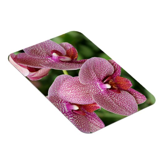 Orchid Flexible Magnet (Rechte Seite)