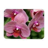 Orchid Flexible Magnet (Horizontal)