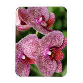 Orchid Flexible Magnet (Vertikal)