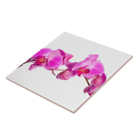 Orchid Fliese (Seite)