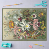 Orchid Floral Ernst Haeckel Decoupage Seidenpapier (Basteln)