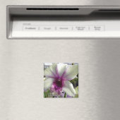Orchid Flower Magnet (In Situ (Geschirrspüler))