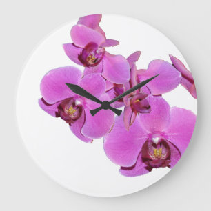 Orchid Flowers Wall Clock Große Wanduhr