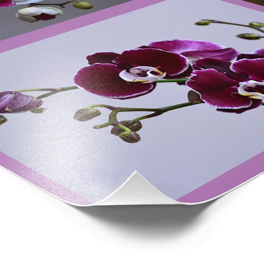 Orchid Foto Collage (Ecke)