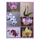 Orchid Foto Collage (Vorne)
