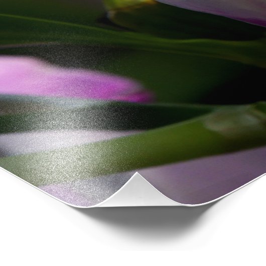 Orchid Fotodruck (Ecke)