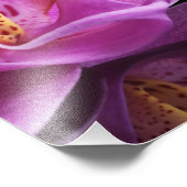 Orchid Fotodruck (Ecke)