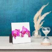 Orchid Fotoplatte (InSitu)