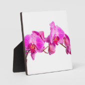 Orchid Fotoplatte (Vorderseite)
