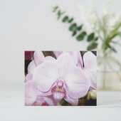 Orchid Four Postcard Postkarte (Stehend Vorderseite)