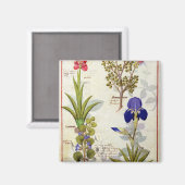 Orchid & Fumitory oder Blutung Herzherz & Iris Magnet (Vorderseite/Rückseite)
