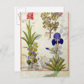 Orchid & Fumitory oder Blutung Herzherz & Iris Postkarte (Vorne/Hinten)