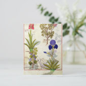 Orchid & Fumitory oder Blutung Herzherz & Iris Postkarte (Stehend Vorderseite)