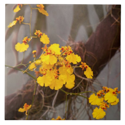 Orchid - Goldener Morgen Fliese (Vorderseite)