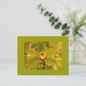 Orchid Green Cymbidium Postkarte (Stehend Vorderseite)