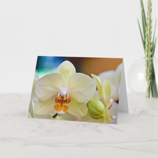Orchid • Greeting Card Karte (Vorderseite)