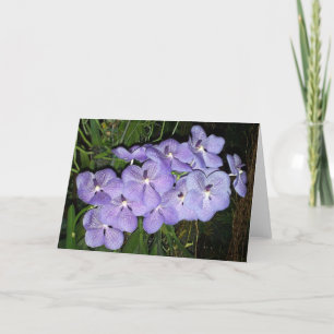 Orchid Greetings Karte