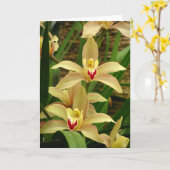 Orchid Greetings Karte (Gelbe Blume)