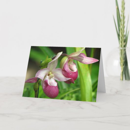 Orchid-Grußkarte Karte (Vorderseite)