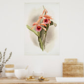 Orchid Illustriert Poster (Küche)