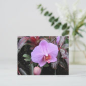 Orchid im Garten Postkarte (Stehend Vorderseite)