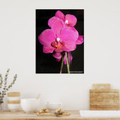 Orchid in Bloom Poster (Küche)
