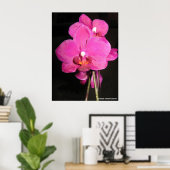 Orchid in Bloom Poster (Heimbüro)