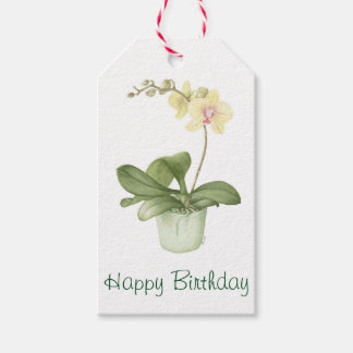 Orchid in grünem Töpfchen Botanische Wasserfarbe Geschenkanhänger