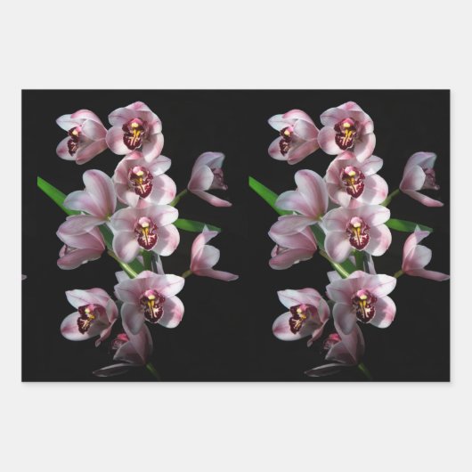 Orchid Insanity auf schwarz Geschenkpapier Set (Vorderseite 3)