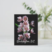Orchid Insanity on Black, Washington, D.C. Postkarte (Stehend Vorderseite)