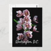 Orchid Insanity on Black, Washington, D.C. Postkarte (Vorne/Hinten)