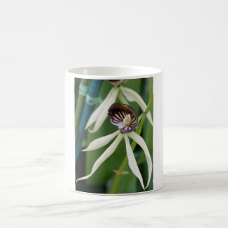 Orchid Kaffeetasse