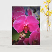 Orchid, Karte (Gelbe Blume)