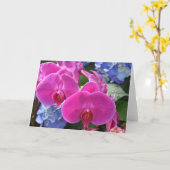 Orchid, Karte (Gelbe Blume)