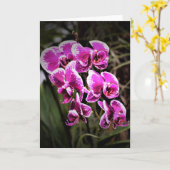 Orchid, Karte (Gelbe Blume)