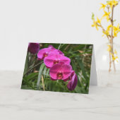 Orchid, Karte (Gelbe Blume)