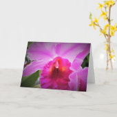 Orchid, Karte (Gelbe Blume)