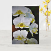Orchid, Karte (Gelbe Blume)