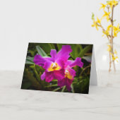 Orchid, Karte (Gelbe Blume)