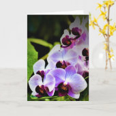 Orchid, Karte (Gelbe Blume)