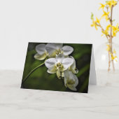 Orchid, Karte (Gelbe Blume)