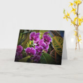 Orchid, Karte (Gelbe Blume)