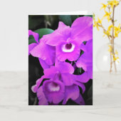 Orchid, Karte (Gelbe Blume)