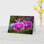Orchid, Karte (Gelbe Blume)
