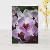 Orchid, Karte (Gelbe Blume)