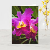 Orchid, Karte (Gelbe Blume)